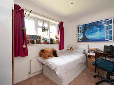 Picture 15